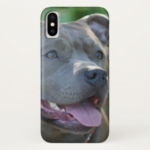 Pitbull Hund iPhone x Gehäuse Case-Mate iPhone Hülle