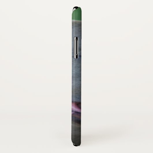 Pitbull Hund iPhone x Gehäuse Case-Mate iPhone Hülle (Hinten/Rechts)