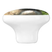 Pitbull Hund Keramikknauf (Seitenansicht)