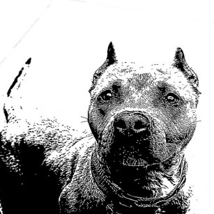 Hund Leinwandkunst Zazzle De