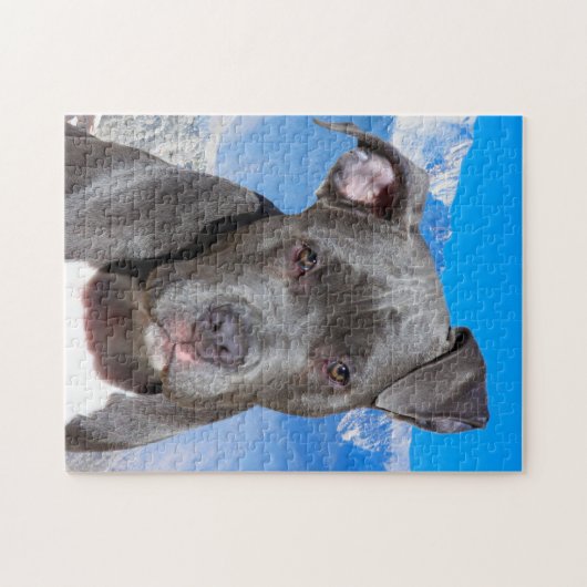Pitbull Hund. Puzzle (Horizontal)