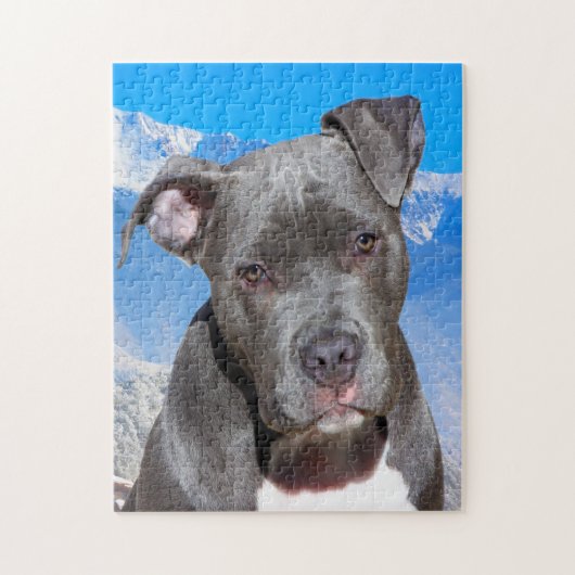 Pitbull Hund. Puzzle (Vertikal)