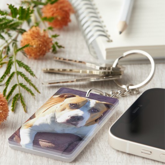 Pitbull Hund Schlüsselanhänger (Vorderseite rechts)