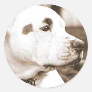 Pitbull-Hund Sepia-Farbe Hass-Tat nicht Rasse Runder Aufkleber