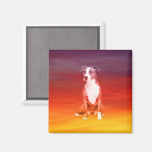 Pitbull Hund sitzend am Strand Magnet (Vorderseite/Rückseite)