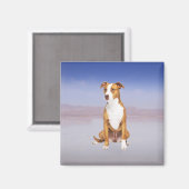 Pitbull Hund sitzend am Strand Magnet (Vorderseite/Rückseite)