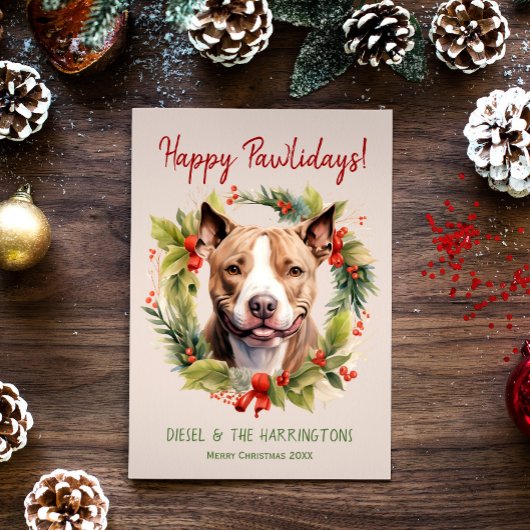Pitbull Hund Weihnachten glücklich Pawlidays Urlau