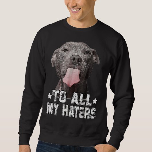 Pitbull Hund zu all meinen Haters Funny Sweatshirt (Vorderseite)