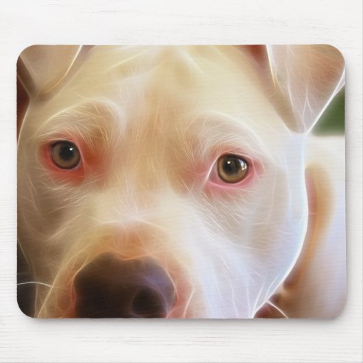 Pitbull Hündchen mustert Kunst-Fotografie Mousepad (Vorne)
