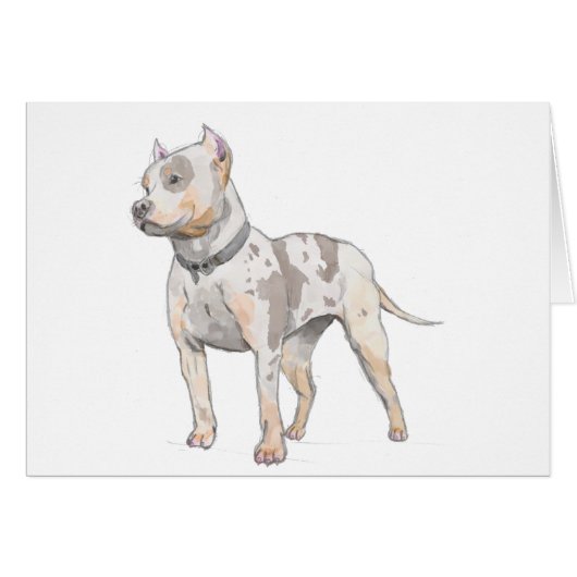 Pitbull-HundeAquarell-Skizze-Karte (Vorderseite (Horizontal))