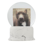 Pitbull Hundehaustier-Foto-kundenspezifische Schneekugel (Rückseite)