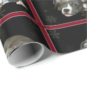 Pitbull-Hundeschlittenpapier Geschenkpapier (Rolleneckpunkt)