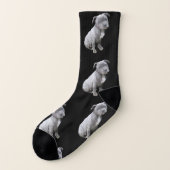 Pitbull Hundesocken Socken (Links - Außen)