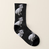 Pitbull Hundesocken Socken (Rechts - Außen)