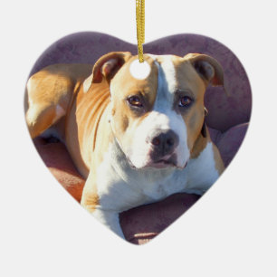 Pitbull Hundeverzierung Keramikornament