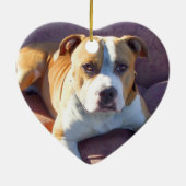 Pitbull Hundeverzierung Keramikornament (Hinten)