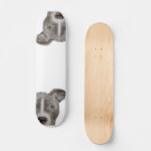 Pitbull Illustration Skateboard per Mart (Vorderseite)
