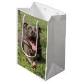 Pitbull im Gras| Bearbeitbares Foto Mittlere Geschenktüte (Vorderseite Schrägansicht)