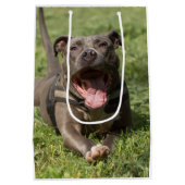 Pitbull im Gras| Bearbeitbares Foto Mittlere Geschenktüte (Rückseite)