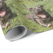 Pitbull im Gras Geschenkpapier (Rolleneckpunkt)