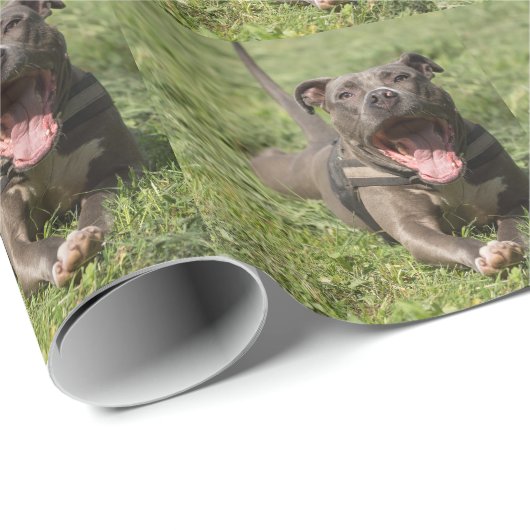 Pitbull im Gras Geschenkpapier (Rolleneckpunkt)