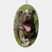 Pitbull im Gras Keramikornament (Rechts)