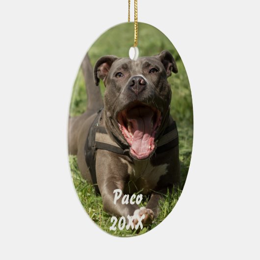 Pitbull im Gras Keramikornament (Rechts)