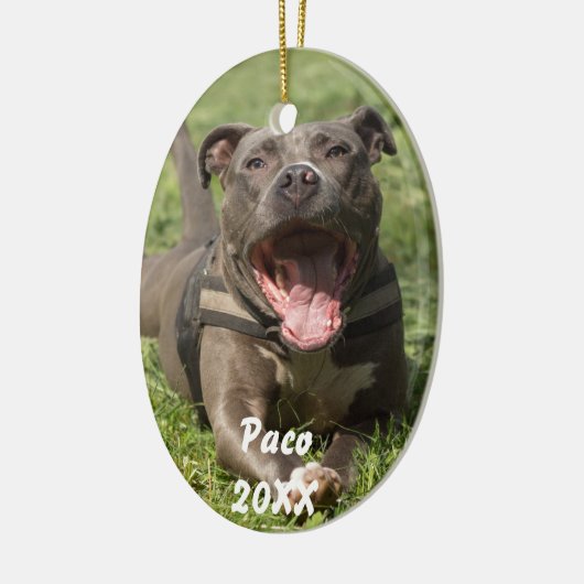 Pitbull im Gras Keramikornament (Links)