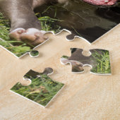 Pitbull im Gras Puzzle (Seite)