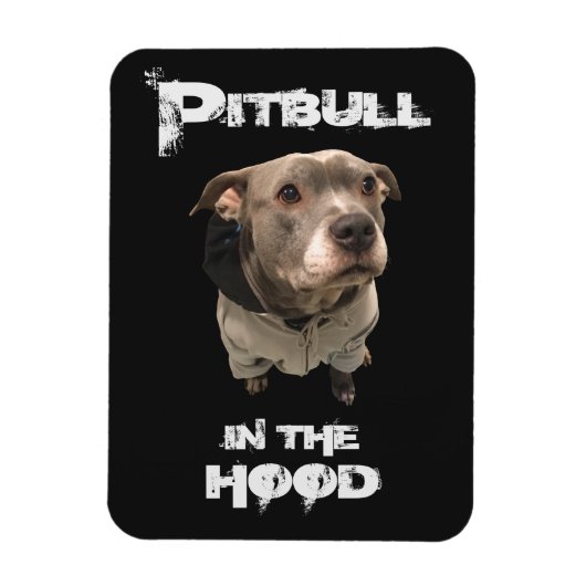 Pitbull im Hood Magnet (Vertikal)