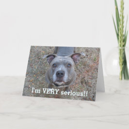 Pitbull I'm Serious Vatertag Card Karte