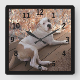 Pitbull Irresistible Porch Dog Numbered Wall Clock Quadratische Wanduhr