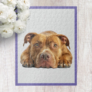Pitbull-Jigsaw-Puzzle Puzzle