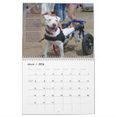 Pitbull-Kalender 2014 PBRCS glücklicher End Kalender (Mär 2026)