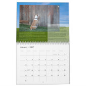 Pitbull-Kalender 2014 PBRCS glücklicher End Kalender (Jan 2027)