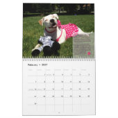 Pitbull-Kalender 2014 PBRCS glücklicher End Kalender (Feb 2027)