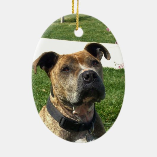 Pitbull Keramik Ornament (Hinten)