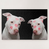Pitbull Kisses Puzzle (Horizontal)