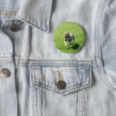 Pitbull Knopf Button (Beispiel)