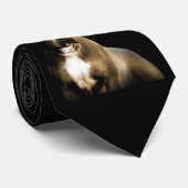 Pitbull Krawatte (Gerollt)