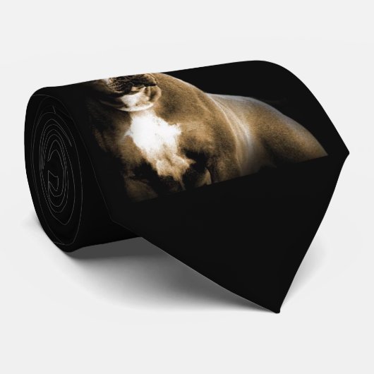 Pitbull Krawatte (Gerollt)