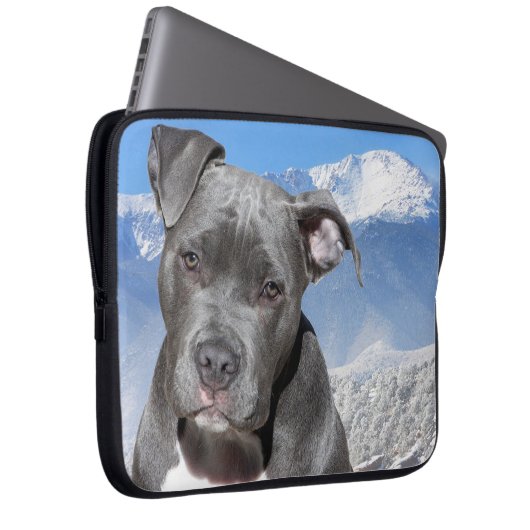 Pitbull Laptopschutzhülle (Vorne Rechts)