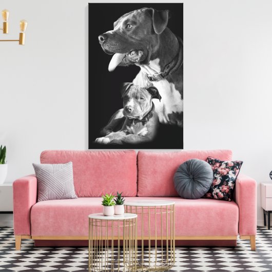Pitbull Leinwanddruck (Insitu (Wohnzimmer))