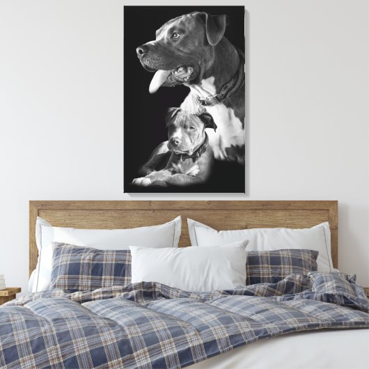 Pitbull Leinwanddruck (Insitu (Schlafzimmer))