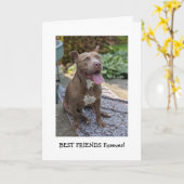 Pitbull Liebe Denke an Dich Karte (Gelbe Blume)