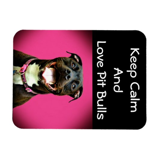 Pitbull Liebe Foto Magnet (Horizontal)