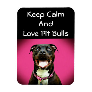 Pitbull Liebe-Foto-Magnet Magnet