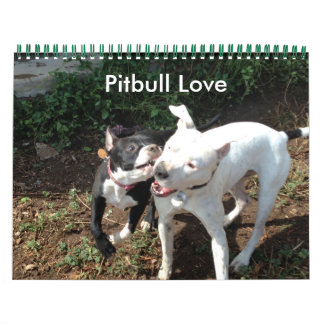 Pitbull-Liebe-Kalender Kalender