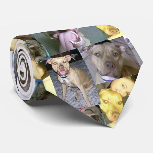 pitbull Liebe Krawatte (Gerollt)