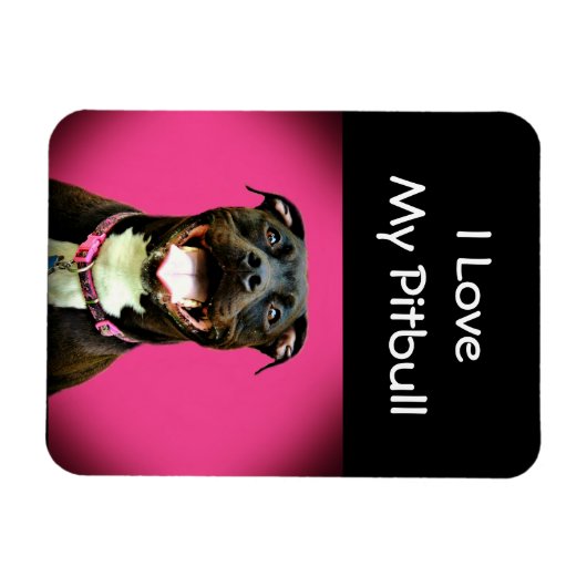 Pitbull-Liebe Magnet (Horizontal)